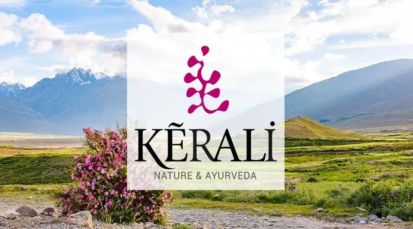 Soins ayurvédiques Kerali près de Bègles